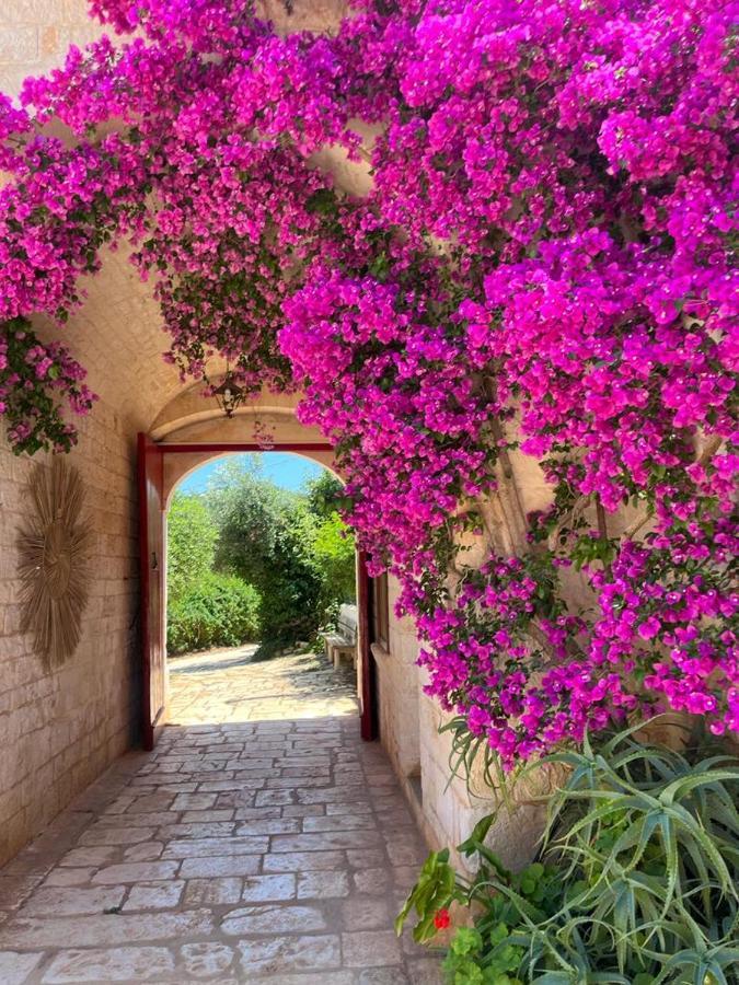 Masseria Morrone Ostuni Extérieur photo