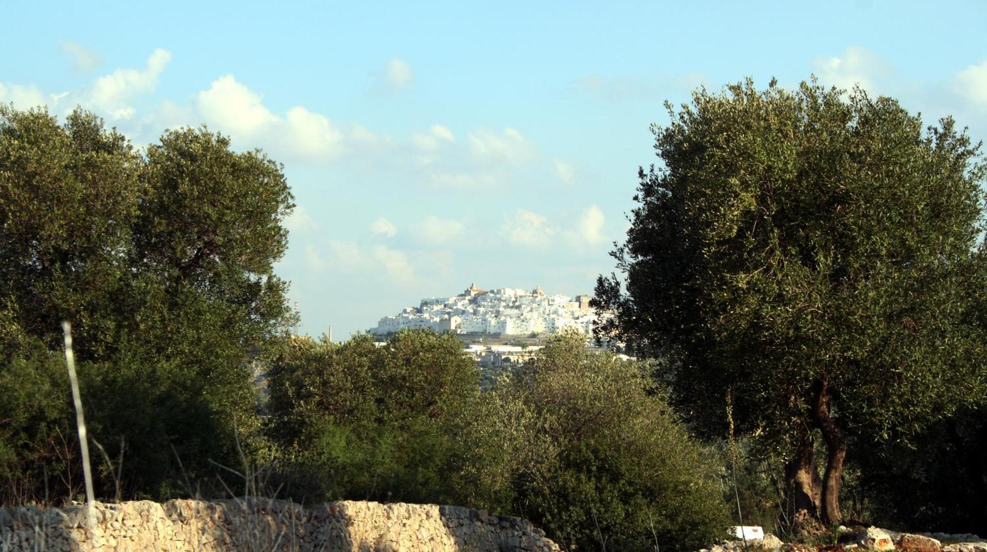 Masseria Morrone Ostuni Extérieur photo