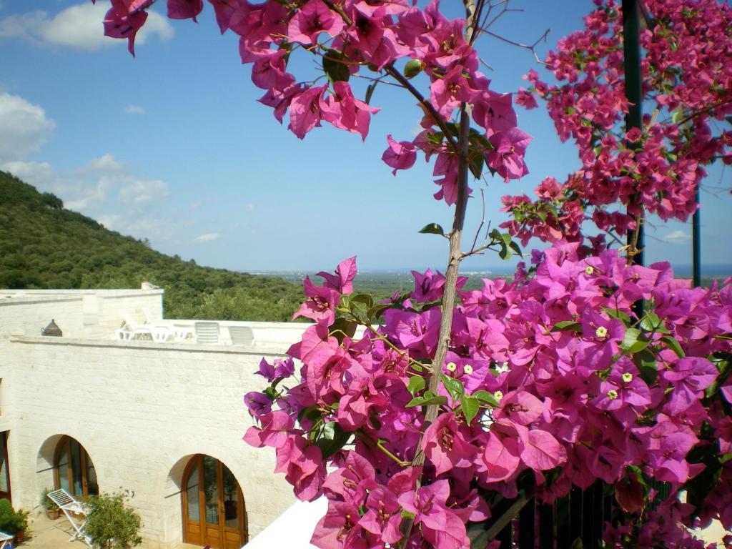 Masseria Morrone Ostuni Extérieur photo